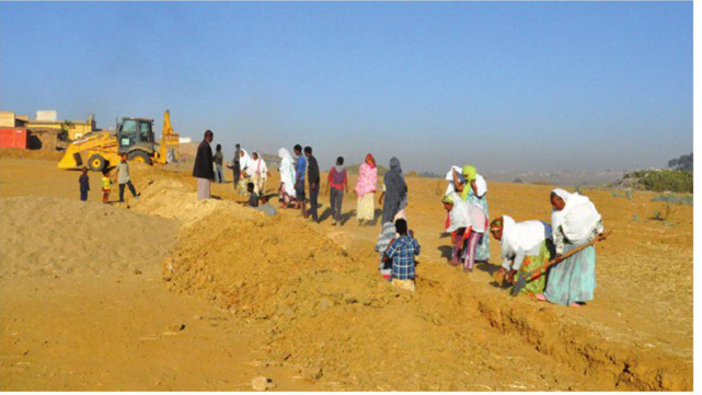 ኣብ ኤርትራ፣ ዕድመ ዝድፍኡ ኣቦታትን ኣዴታትን ናብ ማእቶት ክወፍሪ መንግስቲ የገድዶም ኣሎ