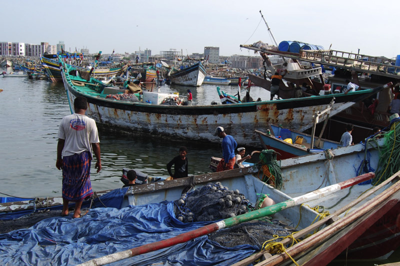 ኤርትራን የመንን፣ ኣብ ጉዳይ ምግፋፍ ዓሳ ተወሳኺ ዝርርብ ኣካይደን