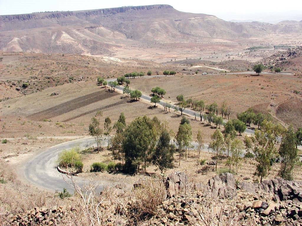ናብ ኢትዮጵያ ንምስጋር ዝፈተኑ ክልተ ትሕቲ ዕድመ ቆልዑ ምስ ኣሞኦም ሞይቶም ተረኺቦም