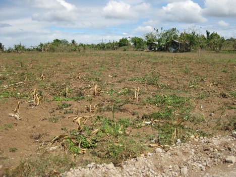 Dry Season in Eritrea