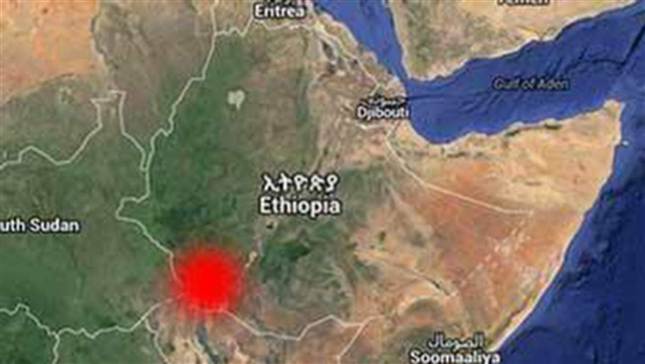 ኣብ ደቡባዊ ኢትዮጵያ ኣብ ልዕሊ ሽወደናውያን በጻሕቲ ሃገራት መጥቃዕቲ ተኻይዱ