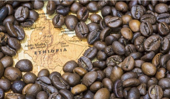 ኢትዮጵያ፣ ካብ ሰደድ ክትረኽቦ ዝወጠነት ኣታዊ ብ38% ጎዲሉ